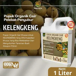 Pupuk Kelengkeng Cepat Berbuah Lebat Booster Kelengkeng Pengurang Kerontokan Bunga Dan Buah