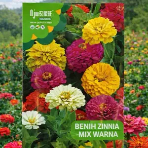 BENIH BUNGA ZINNIA ± 50 biji MIX WARNA untuk Tanaman Cantik dan Berwarna-warni dengan Instruksi Lengkap