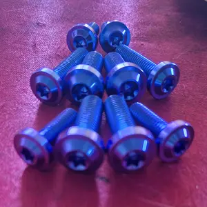Baut Titanium Big Head M10 / (Drat 14) Grade 5 Bahan Titanium Ti-6Al-4V