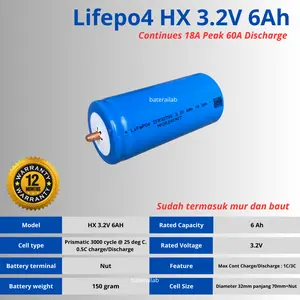 Baterai lifepo4 3.2v 6000mah 6Ah High Discharge Rate 18A max 60A untuk senter PJU Selis