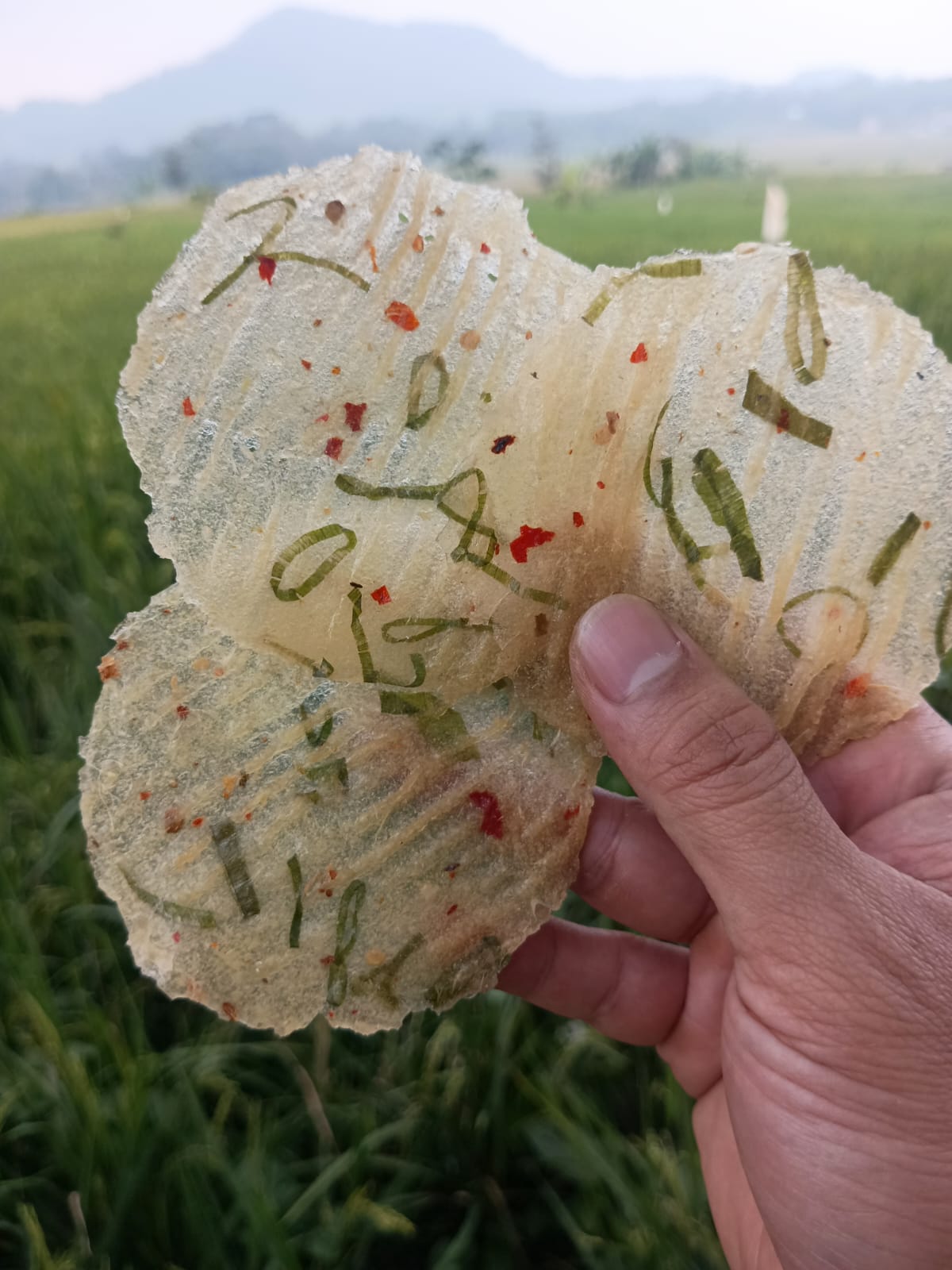 Kicimpring Singkong Mentah Bawang Cabai Gurih dan Renyah Camilan Kering Cemilan Kerupuk Snacks Makanan Keripik Pedas Food Kripik Opak Singkong Manis Asin enak