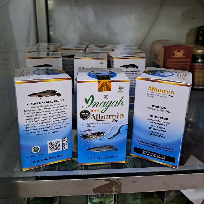 Suplemen Albumin Ekstrak Ikan Gabus Original  Inayah 60 Kapsul  membantu penyembuhan Pasca Operasi atau luka kemasan Baru all New 6