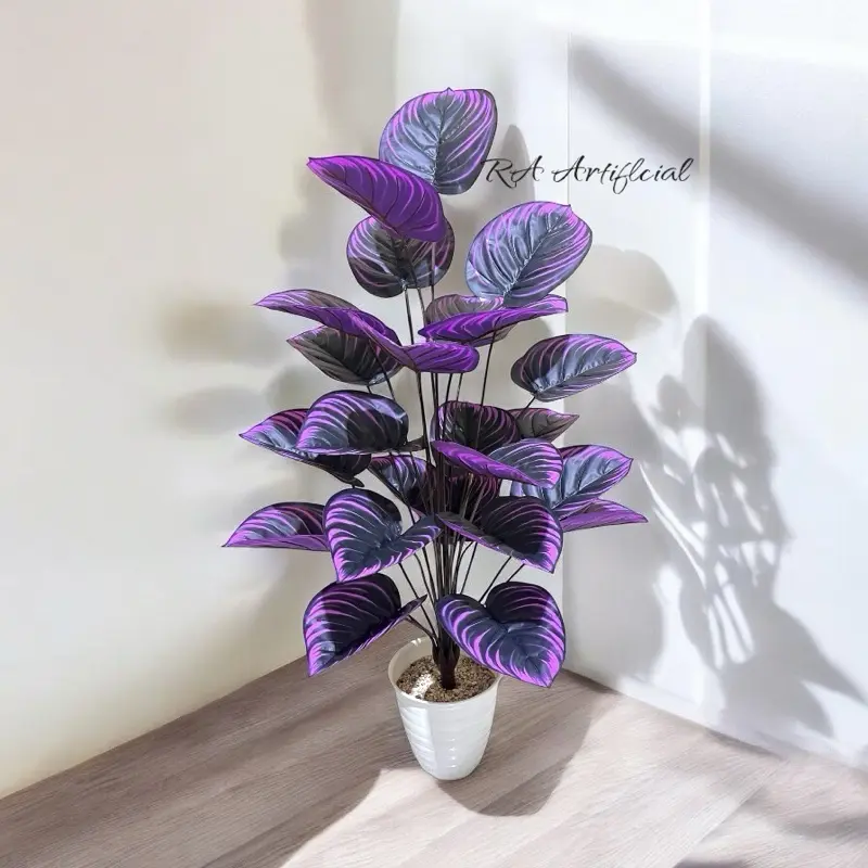 1Set keladi UNGU TKG 130CM pot pirus