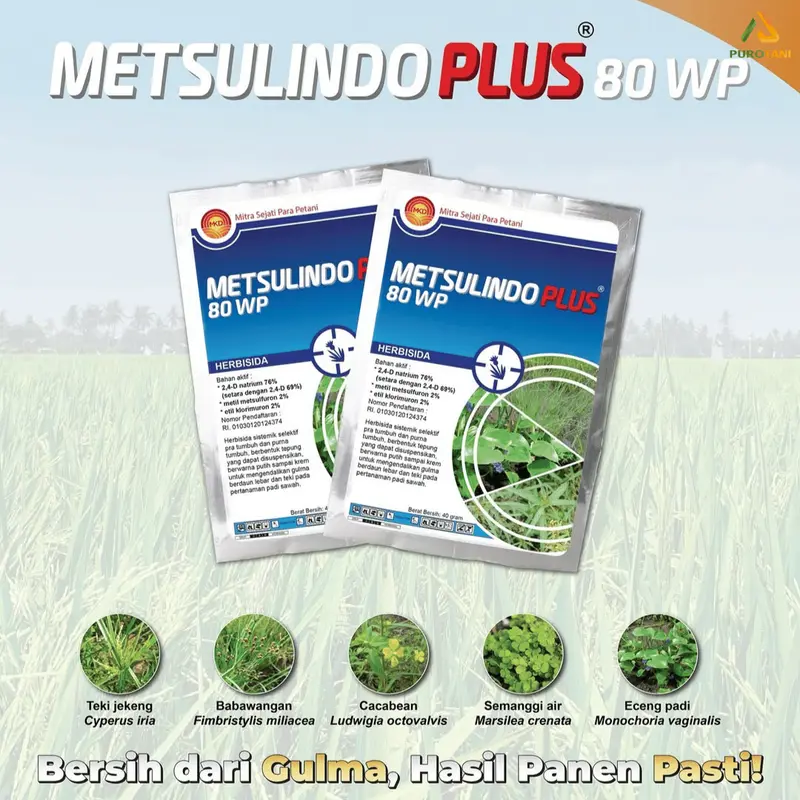 Herbisida Selektif Metsulindo Plus 80WP 40gr