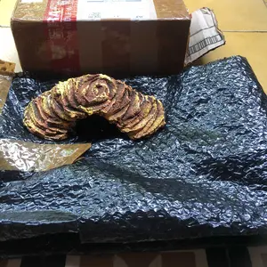 JEMBATAN BASKING KURA-KURA TURTLE REPTIL JEMUR TENGGER SALAMANDER