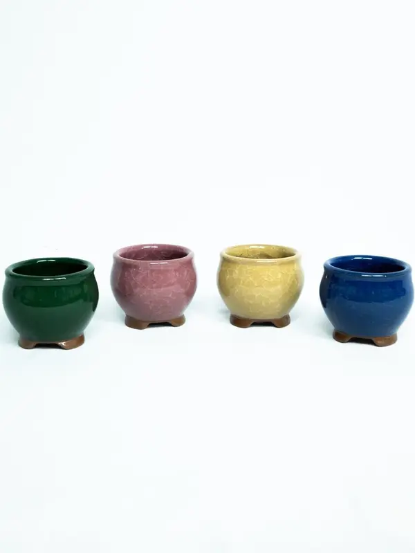 Pot Mini Pot Keramik Pot Model Bulat Berbagai Macam Warna