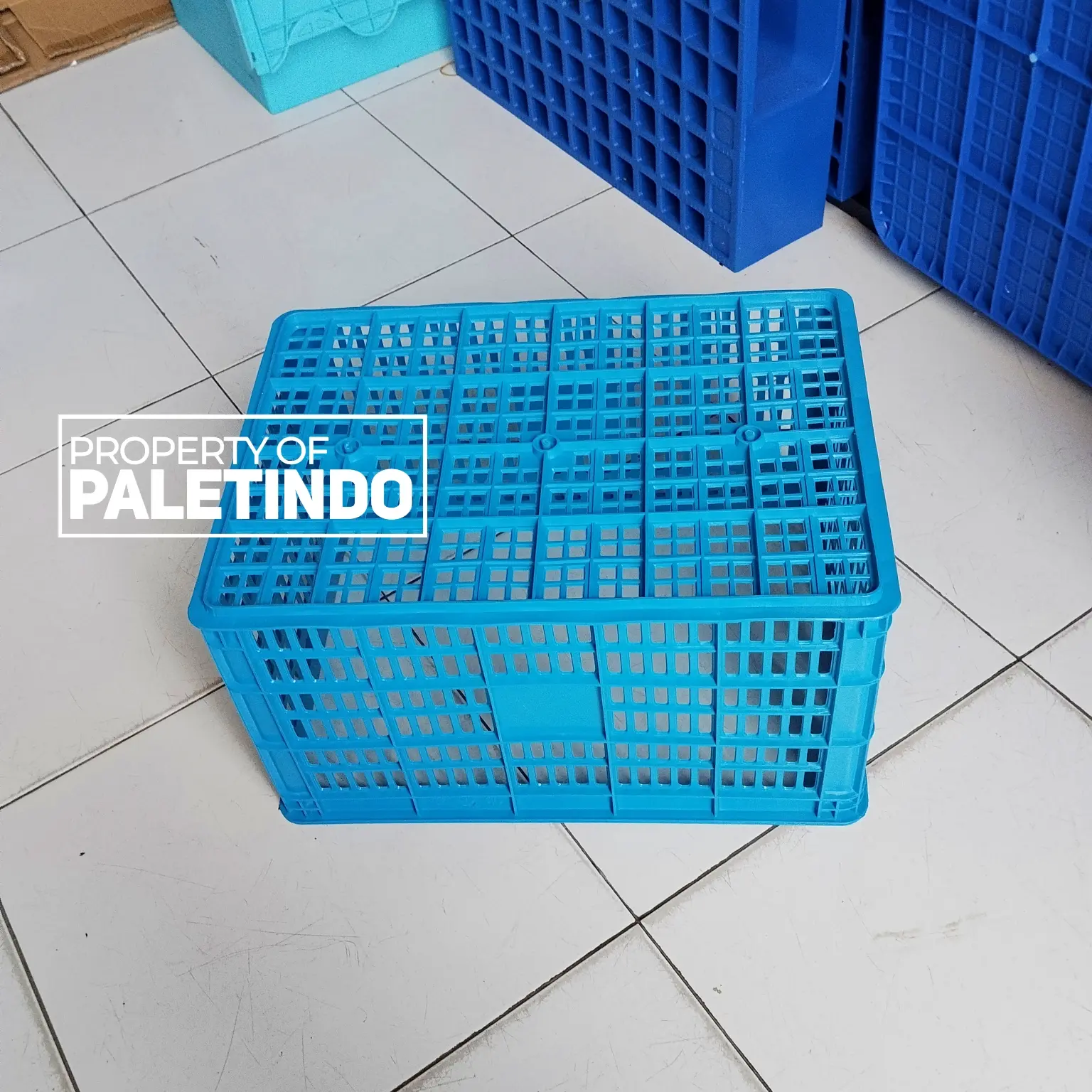 MURAH Keranjang Plastik Serba a 48 35 27 Cm
