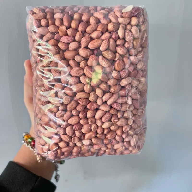 Kacang Tanah Kulit kacang sambal Mentah Kering 1