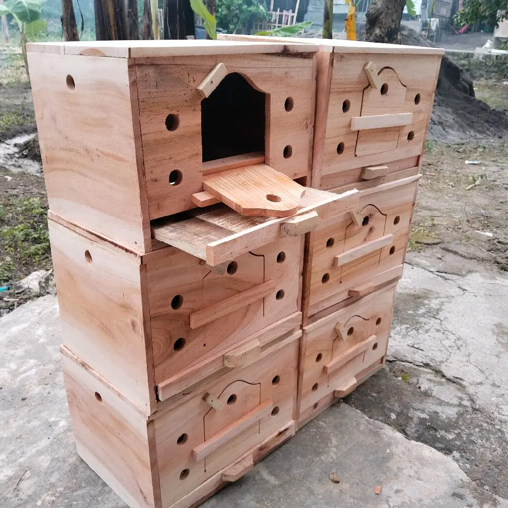 Gupon Merpati Paten - Model Terbaru dengan Fitur Unggul