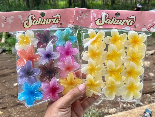 Product Introduction of Jepit kamboja 12 pcs jepit bunga kamboja ukuran 5 cm grosir jepit rambut korea 6