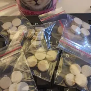 CAT FORTAN ECER - CATFORTAN 1 TABLET MULTIVITAMIN VITAMIN KUCING SUPLEMEN