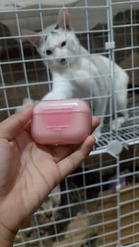 Product Review of [BPOM]GOGO TALES LipPods Lipstik Cloud Sense Dual Colour Lipcream Lip Matte Velvet Lipstick Lip Tint Anak Sekolah Make Up Lip Gloss Bibir GT621 from 🌈**🌜 0