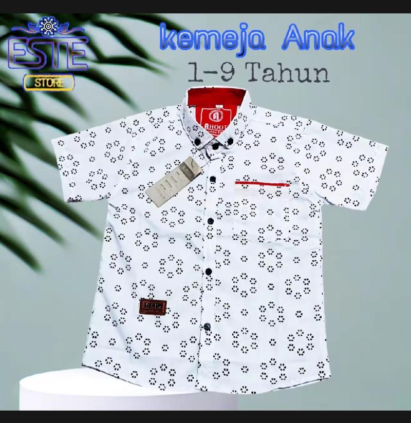 Product Introduction of kemeja anak laki-laki umur 1 sampai 9 tahun 6