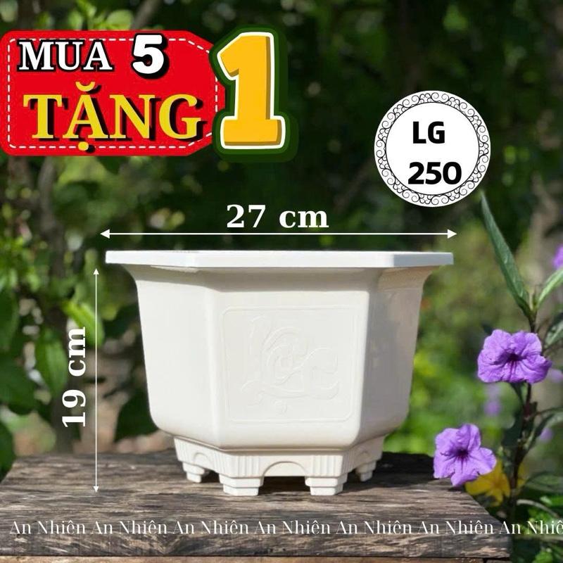  Chậu Nhựa Trồng Hoa Lục Giác 250  27 x 19   Combo 5 cái TẶNG 1 chậu LG210 