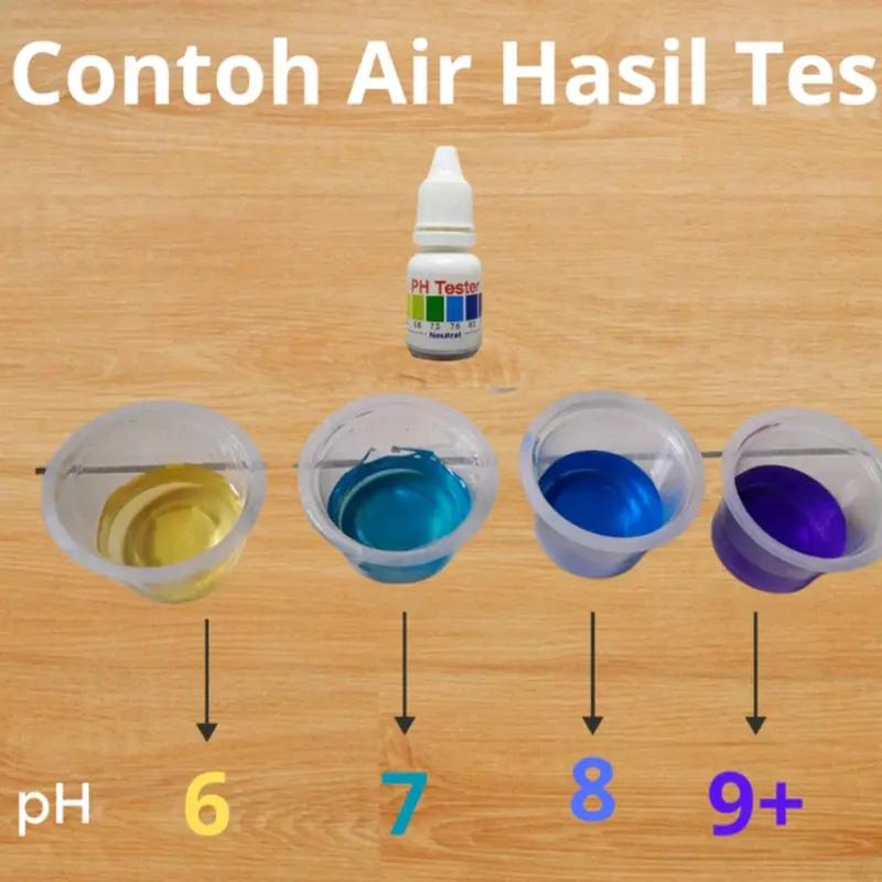PH TESTER ORIGINAL ALAT UKUR CEK ALKALI KEASAMAN PH AIR 2