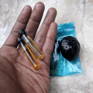 Minyak Pale Muncang Adu PALEDOG Super Kuat Berkualitas