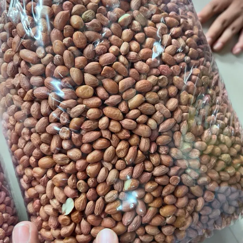 Kacang Tanah Kulit kacang sambal Mentah Kering 3