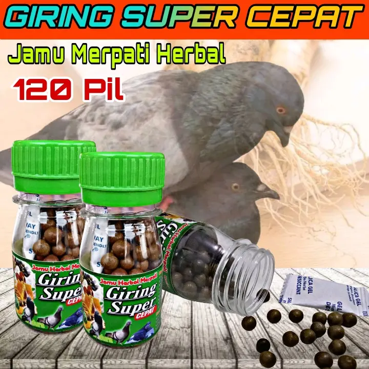 PROMO !!! 120 BUTIR PIL HITAM JAMU MERPATI SUPER GIRING KERAS paling ampuh, jamu ginseng teki liur walet 7