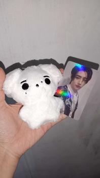 Product Review of [ENH] Unoff Enhypen Doll Plushie Jay Jake Heeseung Niki Jungwon Sunoo Sunghoon Boneka karakter Toys from m**a 0