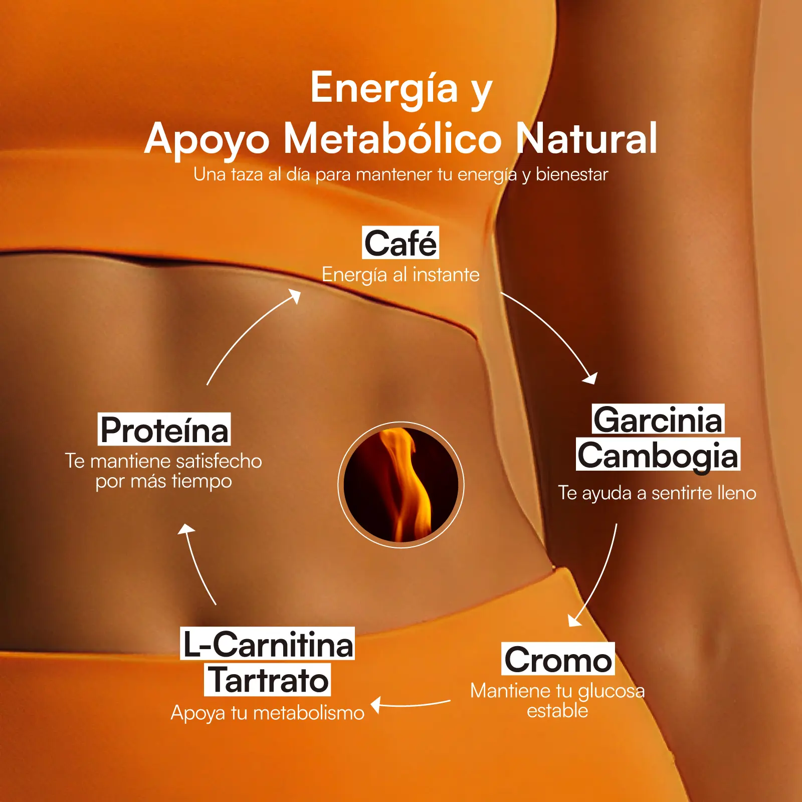 Zesty Nutrition Metablica Protein Caf - Arbica 100% Puro con L-Carnitina, Garcinia Cambogia y Cromo - Apoyo Zesty Nutrition Metablica Protein Caf - Arbica 100% Puro con L-Carnitina, Garcinia Cambogia y Cromo - Apoyo