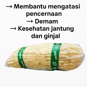 AKAR ALANG ALANG 500GR kondisi SEGAR Fress 100% Organik Manis