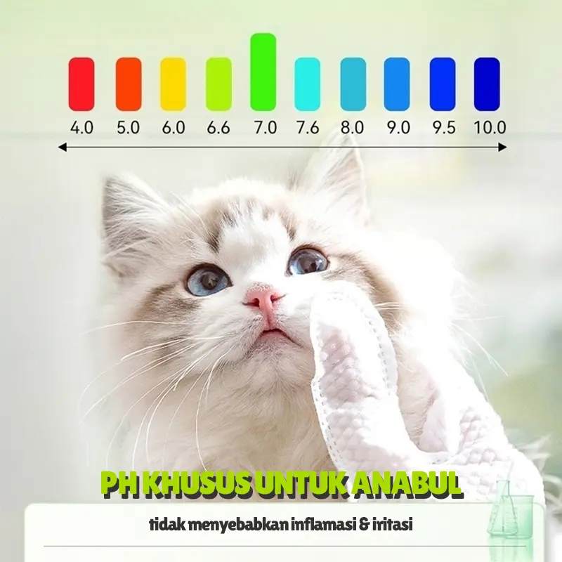 [COD][Ready stock]-4 PH03  Tisu Basah Anjing Kucing Sarung Tangan Pembersih Spa Murah | Pet Spa Cleaning Gloves | Pet Soft Pet Wipes Dog Cat | Tissue Basah Anabul Hewan Peliharaan Tanpa Mandi