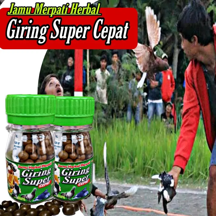 PROMO !!! 120 BUTIR PIL HITAM JAMU MERPATI SUPER GIRING KERAS paling ampuh, jamu ginseng teki liur walet 3
