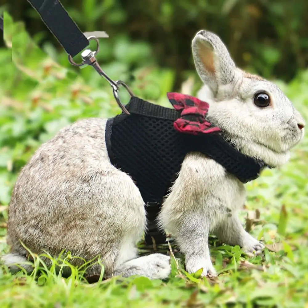 Breathable Adjustable Prevent Escape Ferrets Guinea Pig Rabbit Harness Rabbit Leash Rabbit Vest Bunny Leash