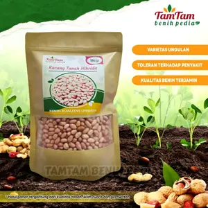 TamTam Benih Kacang Tanah Hibrida Super 1kg Varietas Unggulan Toleran Penyakit Kualitas Terjamin