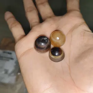 Link khusus co di harga 100k