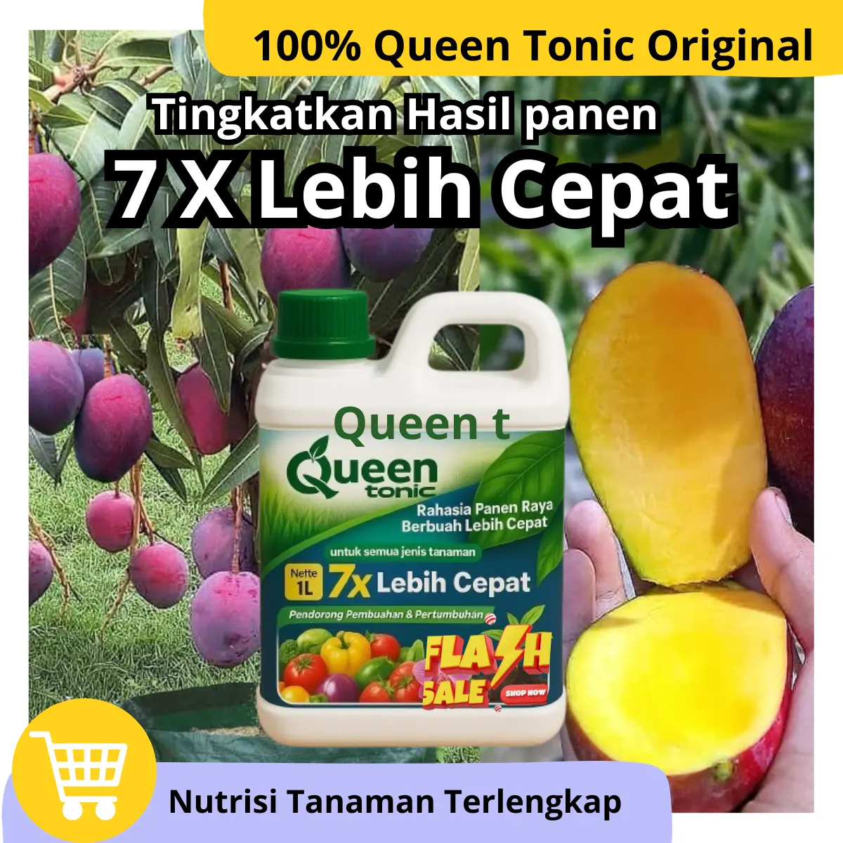 Pupuk Buah Buahan Cepat Berbuah Queen Tonic 500ML Formula Lengkap Makro & Mikro untuk Pertumbuhan Supercepat & Hasil Panen Luar Biasa