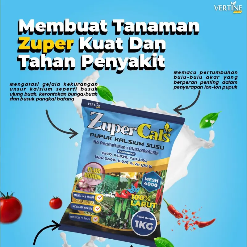 Zupercals Pupuk Pelebat Daun Bawang, Perbesar Daun, Kalsium+Boron Percepat Pertumbuhan Tunas Baru Anti Kuning Dan Anti Hama Penyakit Kemasan 1KG 2