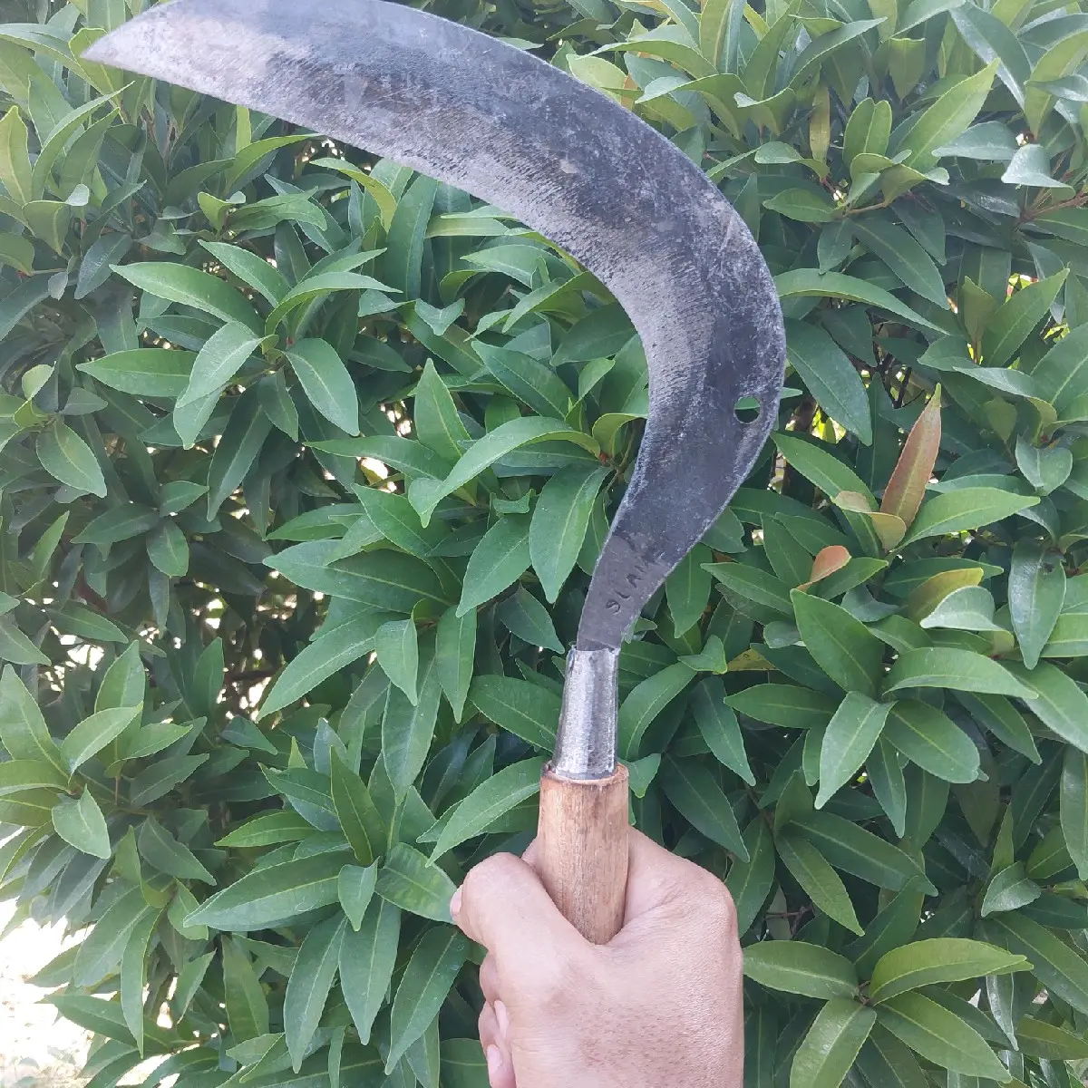 Sabit Bolong plat Cocok untuk Cari Rumput