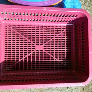 Rege/tatakan gelas tanggung