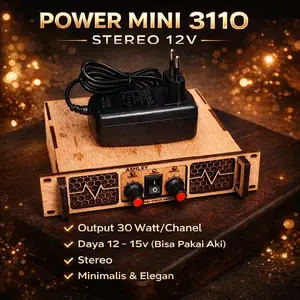 Power Mini TPA 3110 Stereo 12V 2 Channel Audio Speaker