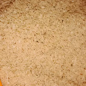 Telur Jangkrik Alam Super Untuk Pakan Burung 100 g Depok Nutrisi Lengkap untuk Ternak dan Ikan Meningkatkan Kualitas Produksi