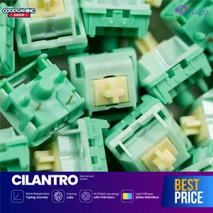 Akko Cilantro Switch Early Tactile - Mechanical Switch Keyboard