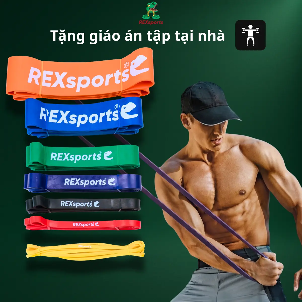 Dây Kháng Lực Rexsports Chất Lượng Cao Su Latex Cao Cấp Tặng GIÁO ÁN TẬP GYM Đa Năng Kháng Lực từ 10-120KG
