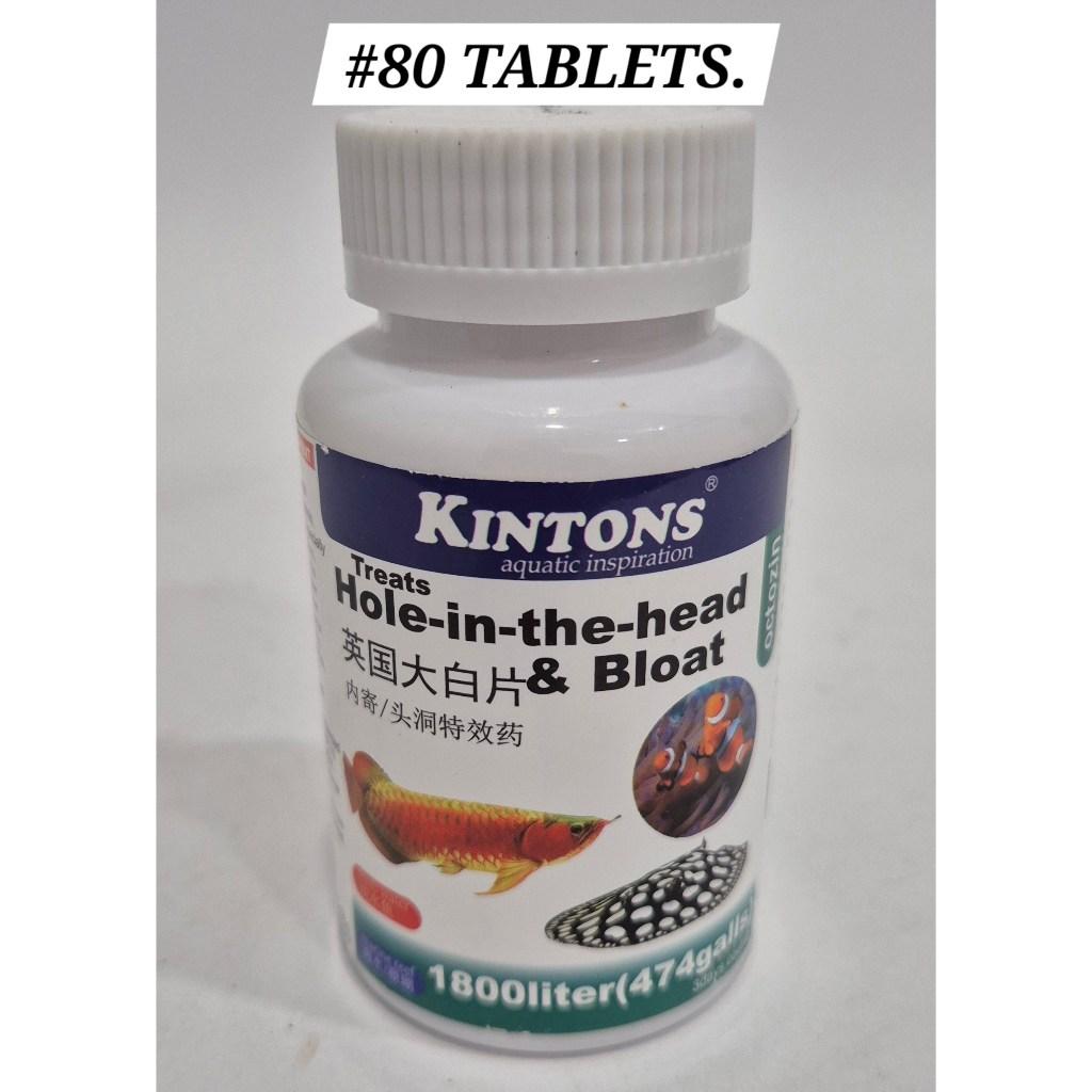 Kintons Octozin Hole Head Bloat 80Tablets Fish Treatment Aquarium Ikan Obat Arowana Flower Horn Stingray Discus Clown