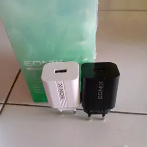 BATOK CHARGER 12 W 2.4 A 240 V