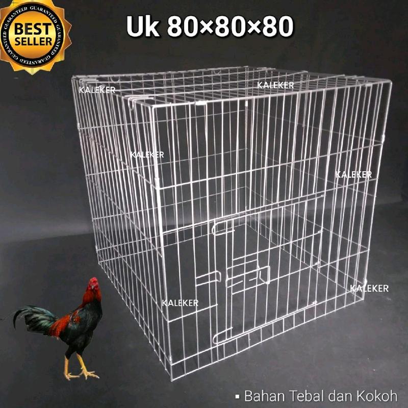 KANDANG KURUNGAN AYAM BESI LIPAT PERSEGI 80×80×80 0