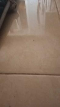 Product Review of SNACK KACANG TELUR ISI 1KG Cemilan Food  Camilan from N**e w** 0