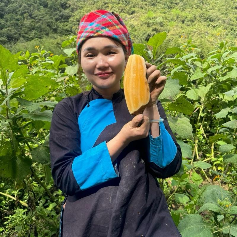  3kg khoai sâm đất Cao Bằng_ Ăn giòn ngon- ngọt Thanh -Có Bảo Hành 