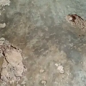 (10pcs)-Masker Mata Collgen Crystal Gold eye Mask Black panda anti aging/makser mata panda dan kantung mata