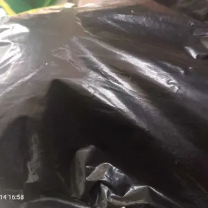 Boneka Gelang Capybarra /Clingy Capybara Plush Wrislet /Nemplok Tangan 18cm/Boneka Capybarra Plush Gelang Tangan Lembut