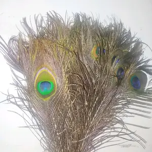 bulu merak asli panjang 40cm kwalitas premium