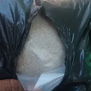 Grit Asinan Kemasan 500g Kulit Kerang Asli - Untuk Merpati, Derkuku, Perkutut, Semua Jenis Burung dan Reptil