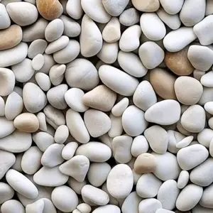 Promo Batu Koral Putih - Batu Koral Putih Murah - Koral Putih