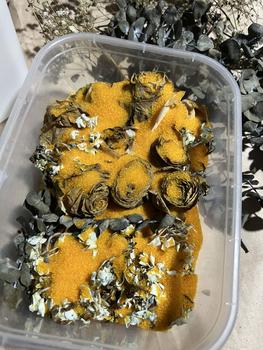 Product Review of Silica Gel Sand for Flower Preservation from ♡**♡ 0