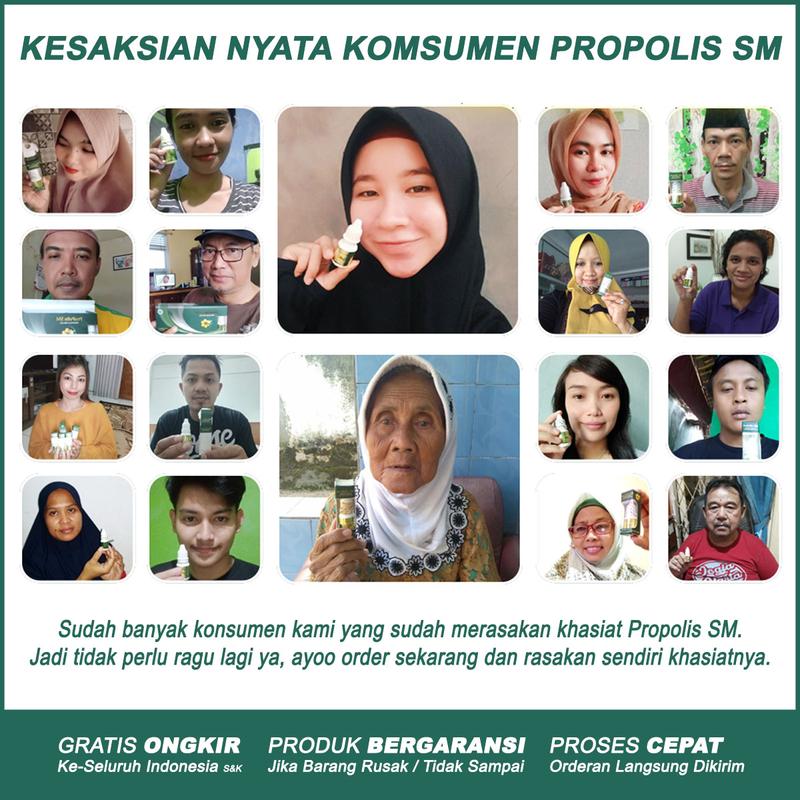 Product Introduction of Propolis SM Herbal Untuk Sinusitis Flu Batuk Pilek Menahun Polip Hidung Mampet Asli Original 0